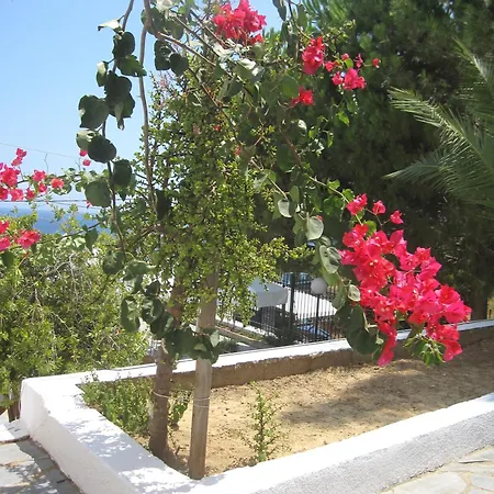 Travlos 3* Eleios-Pronnoi