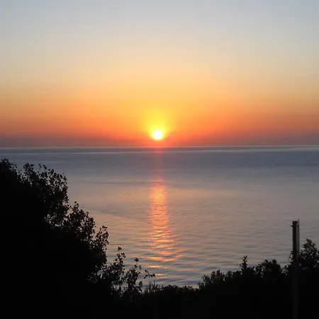 Travlos Eleios-Pronnoi