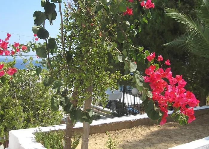 Travlos 3* Eleios-Pronnoi