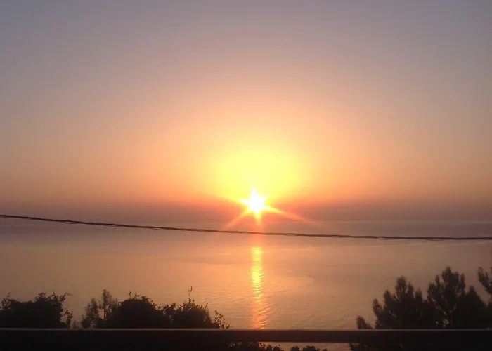 Travlos Eleios-Pronnoi