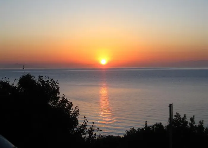 Travlos Eleios-Pronnoi